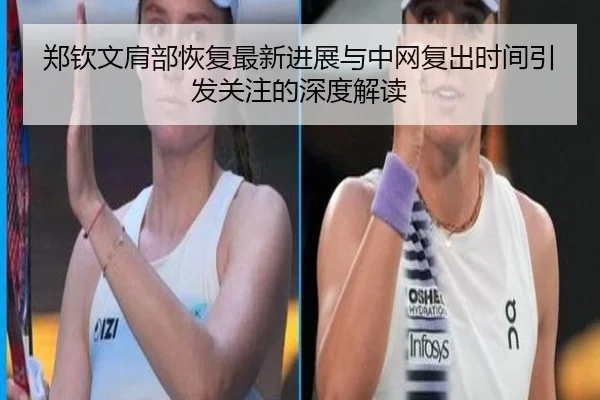 郑钦文肩部恢复最新进展与中网复出时间引发关注的深度解读